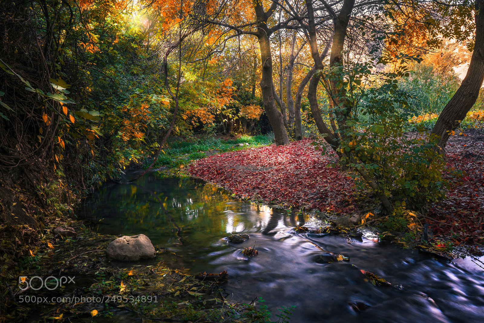 Sony a7 sample photo. Fall off season photography