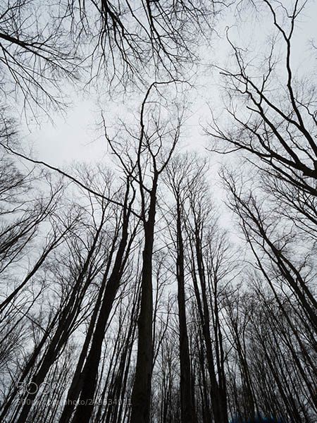 Olympus OM-D E-M1 Mark II sample photo. Point of view 1 photography