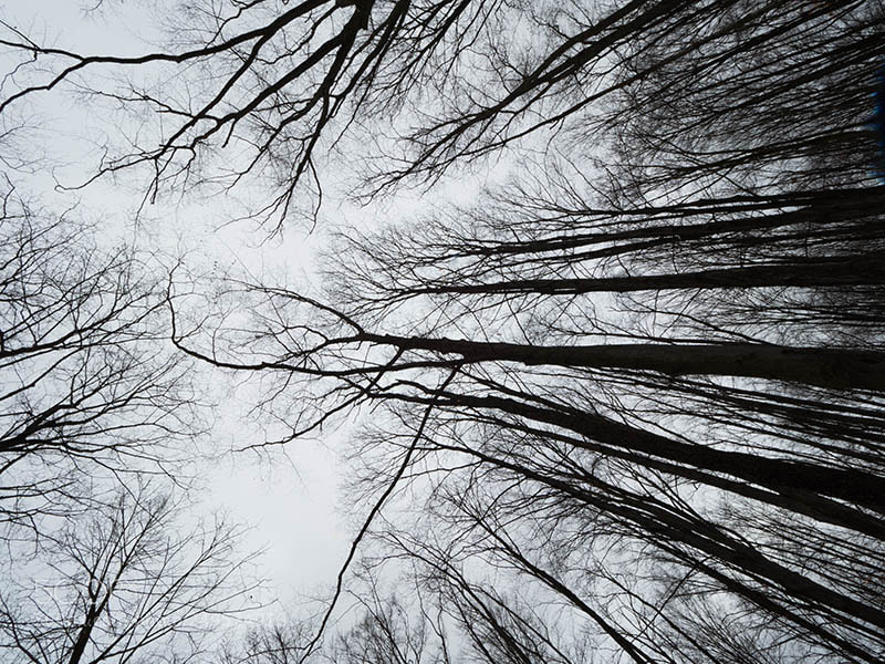 Olympus OM-D E-M1 Mark II sample photo. Point of view 2 photography