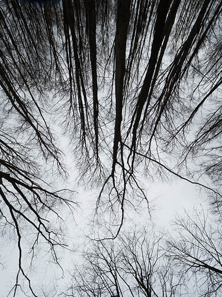 Olympus OM-D E-M1 Mark II sample photo. Point of view 3 photography
