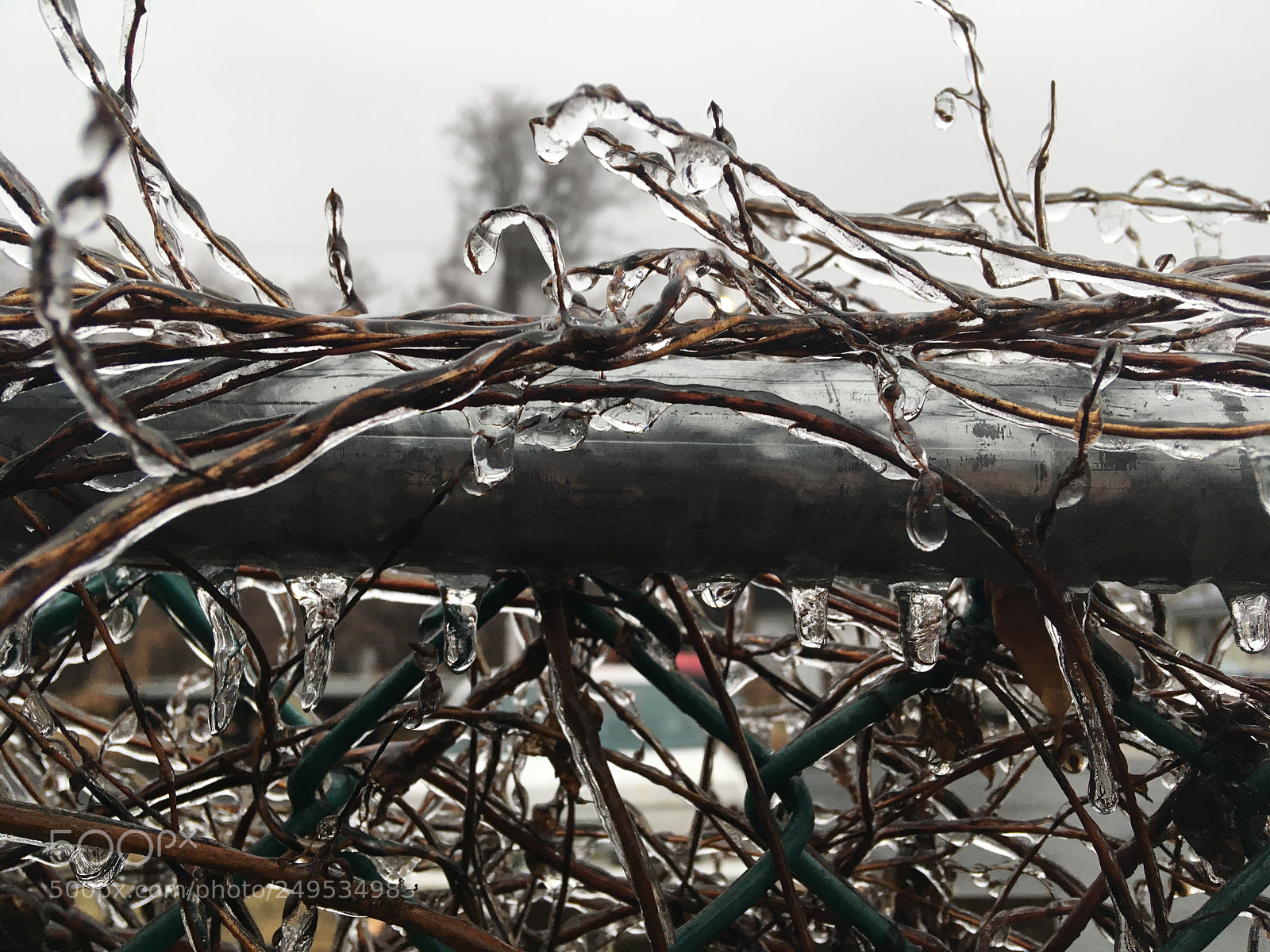 Apple iPhone SE sample photo. Icy photography