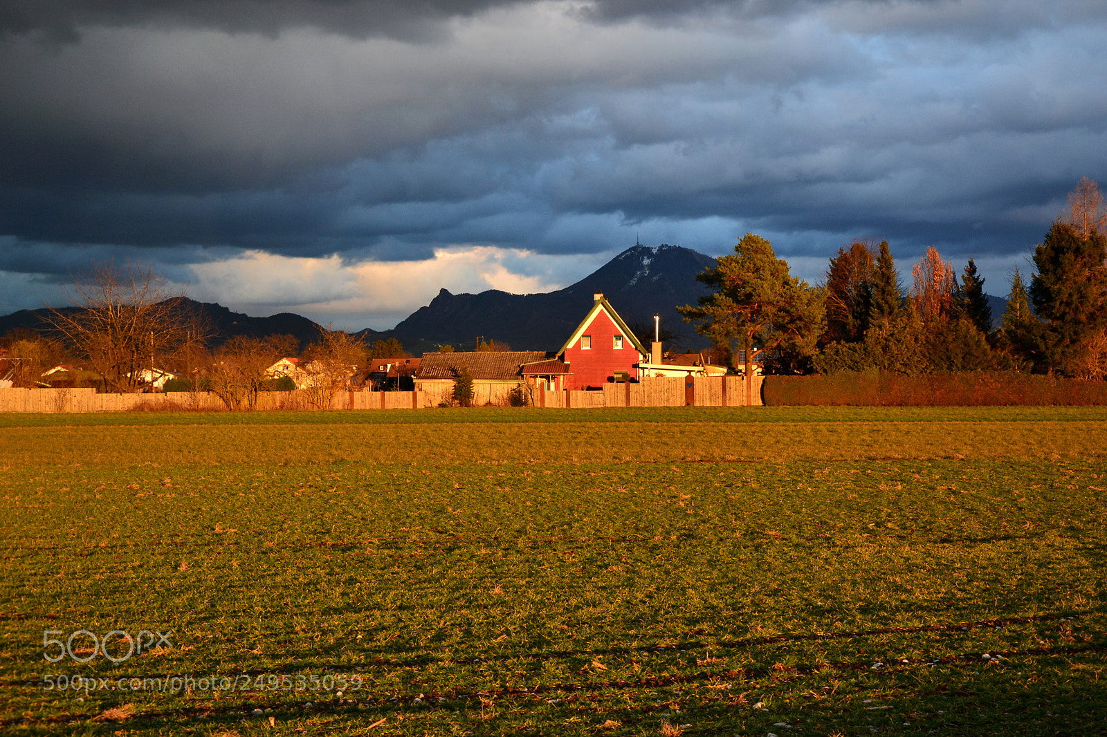 Nikon D3100 sample photo. Evening sunlight and dark photography