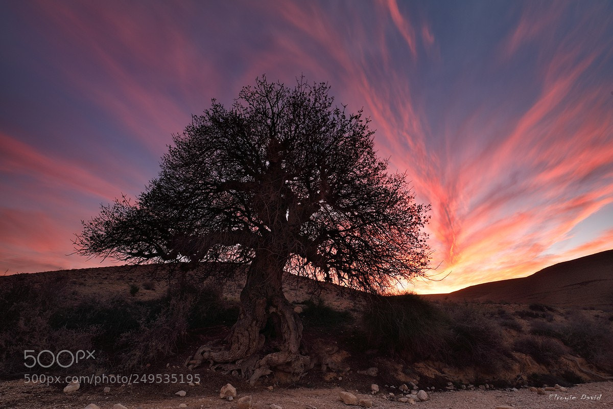 Canon EOS 5D Mark IV sample photo. Fire in the sky photography
