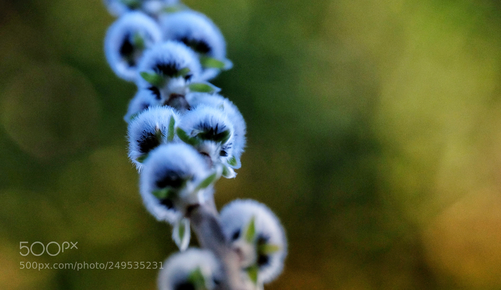 Fujifilm X-T1 sample photo. Signs of spring. finally. photography
