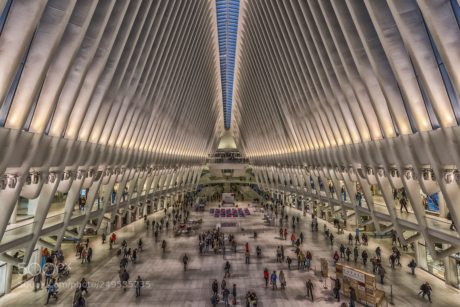 Nikon D810 sample photo. Us nyc indoors explored photography