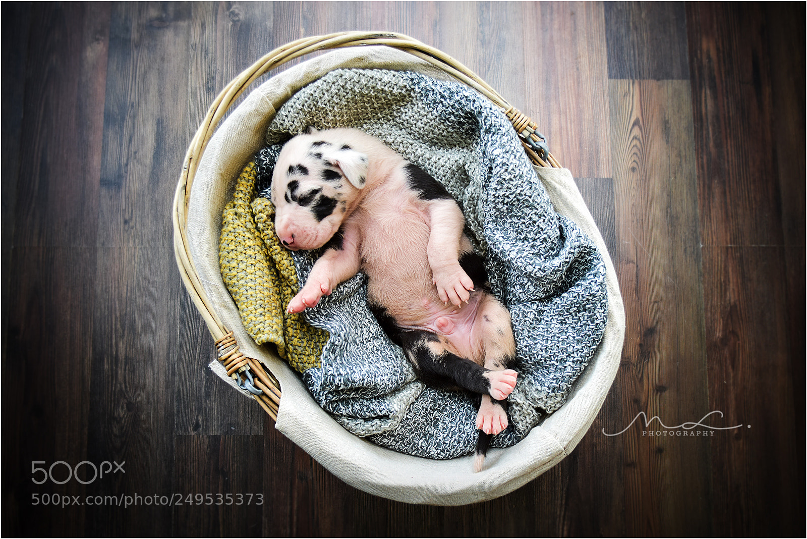 Nikon D7200 sample photo. Babyhood photography