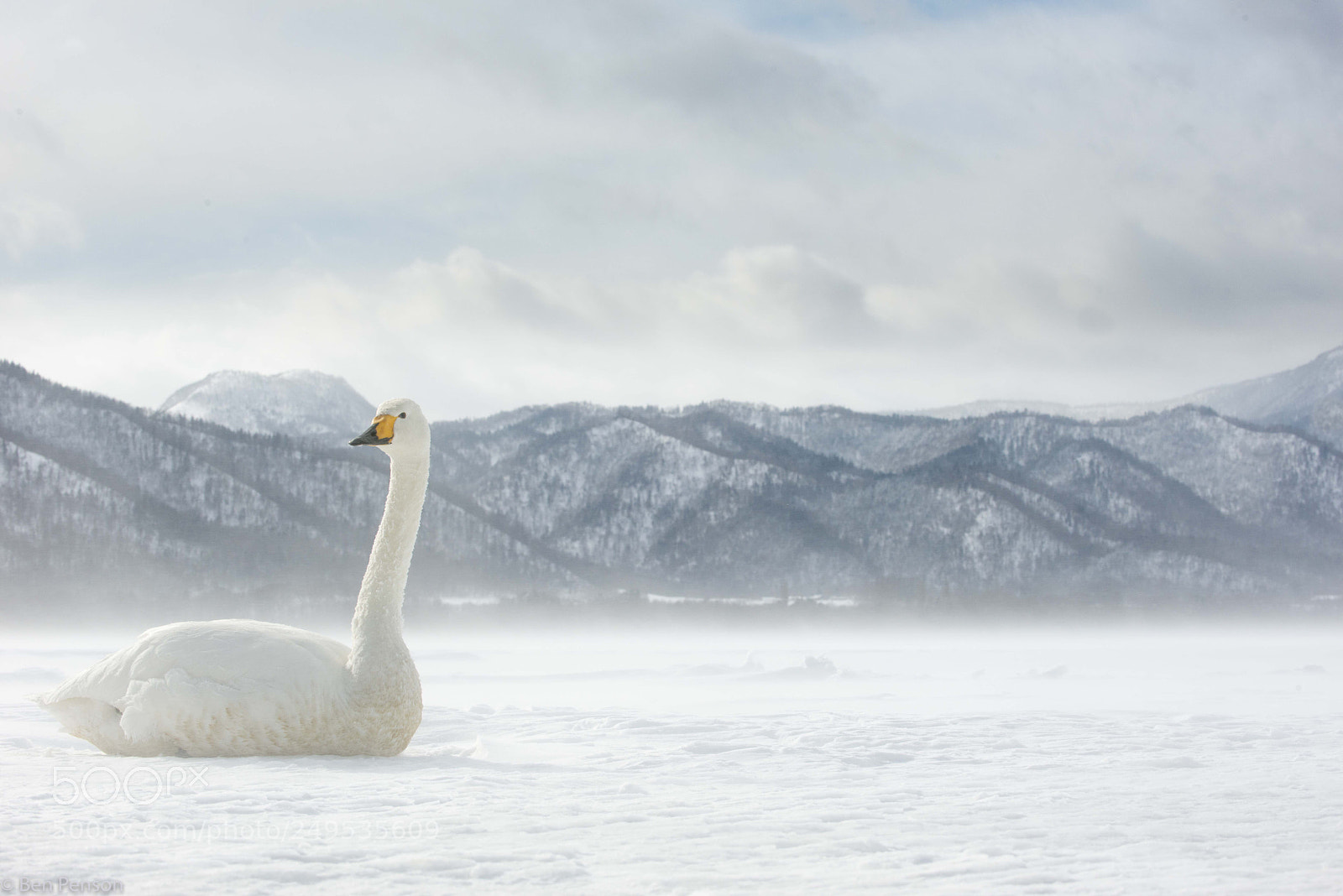 Nikon D800 sample photo. Not a warm place photography