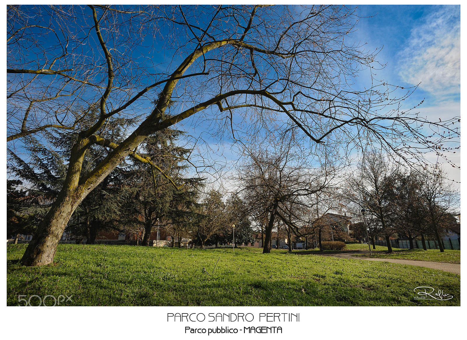 Nikon D3 sample photo. Sandro pertini park, magenta photography