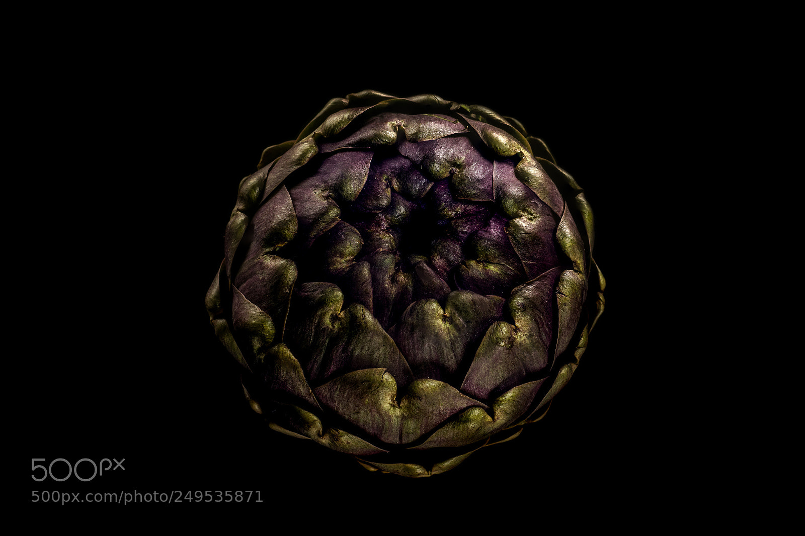 Nikon D5300 sample photo. Natural geometry photography