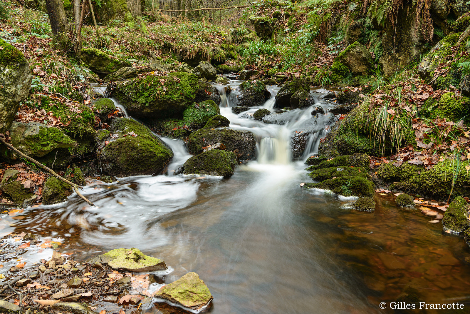 Nikon D800 sample photo. Rocky stream. photography