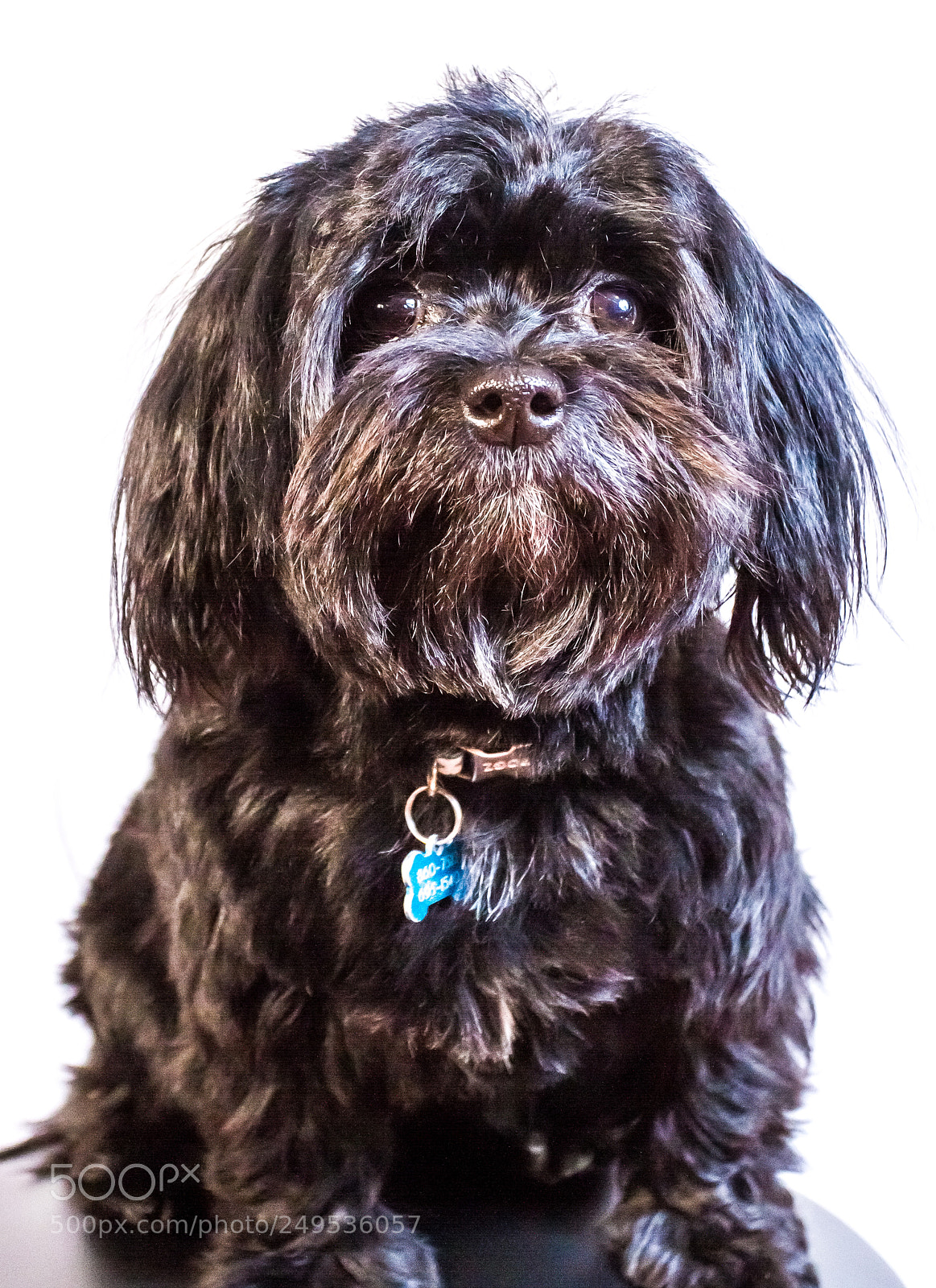 Canon EOS 7D sample photo. Are you talking to photography
