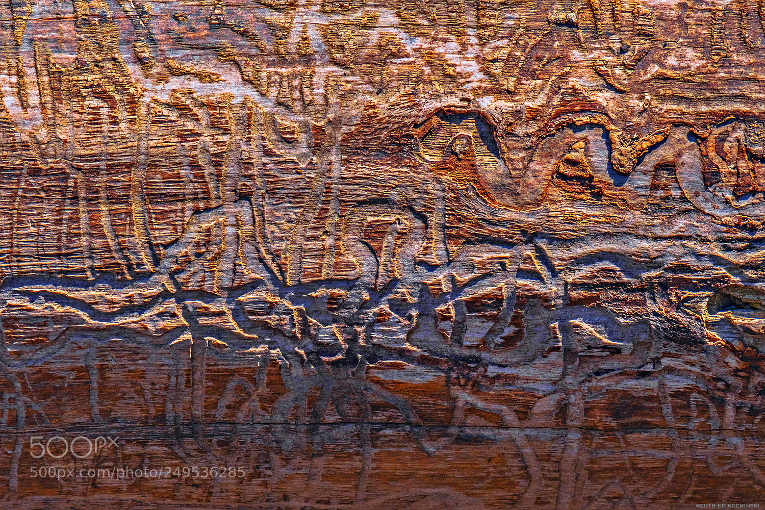 Fujifilm X-T2 sample photo. Organic free-range graffiti artists photography