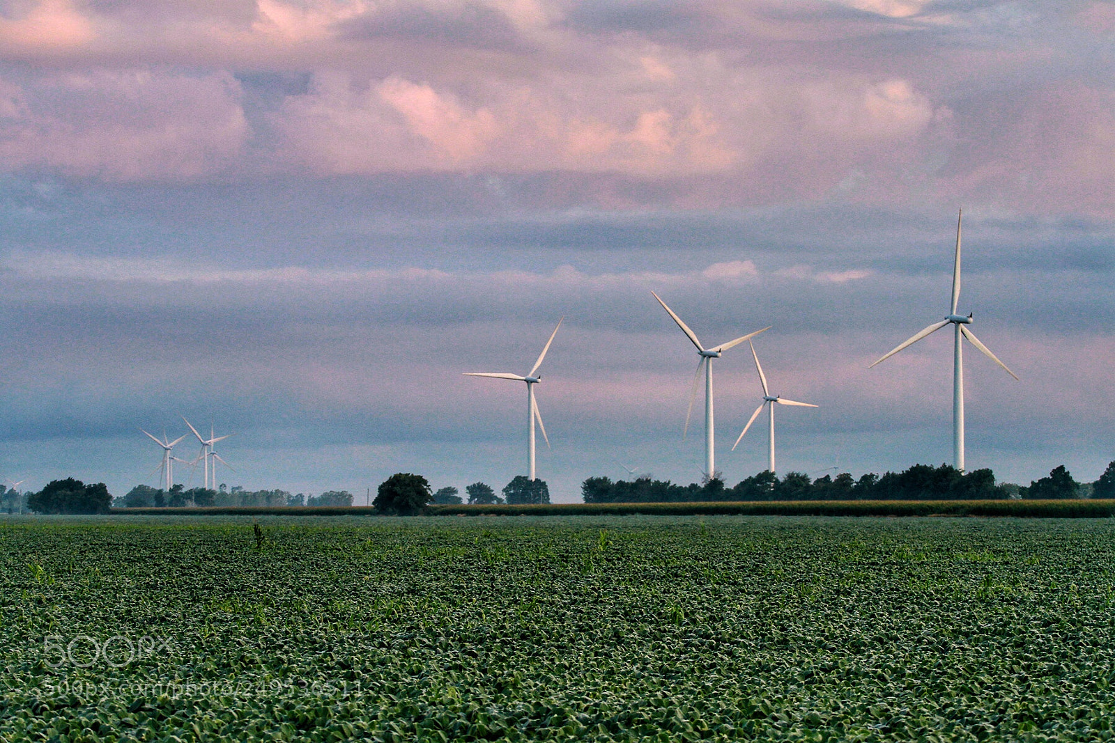 Canon EOS 7D sample photo. Farmland photography
