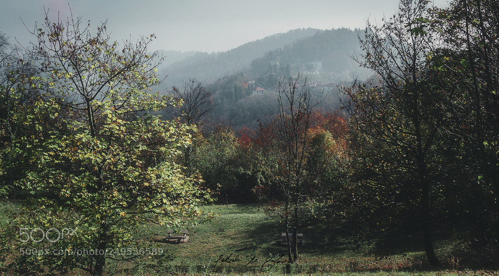 Canon EOS 77D (EOS 9000D / EOS 770D) sample photo. Fiaba photography