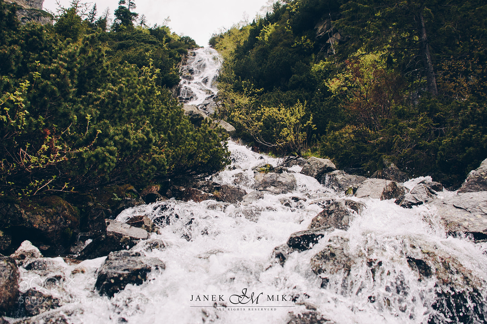 Nikon D50 sample photo. Stream of live photography