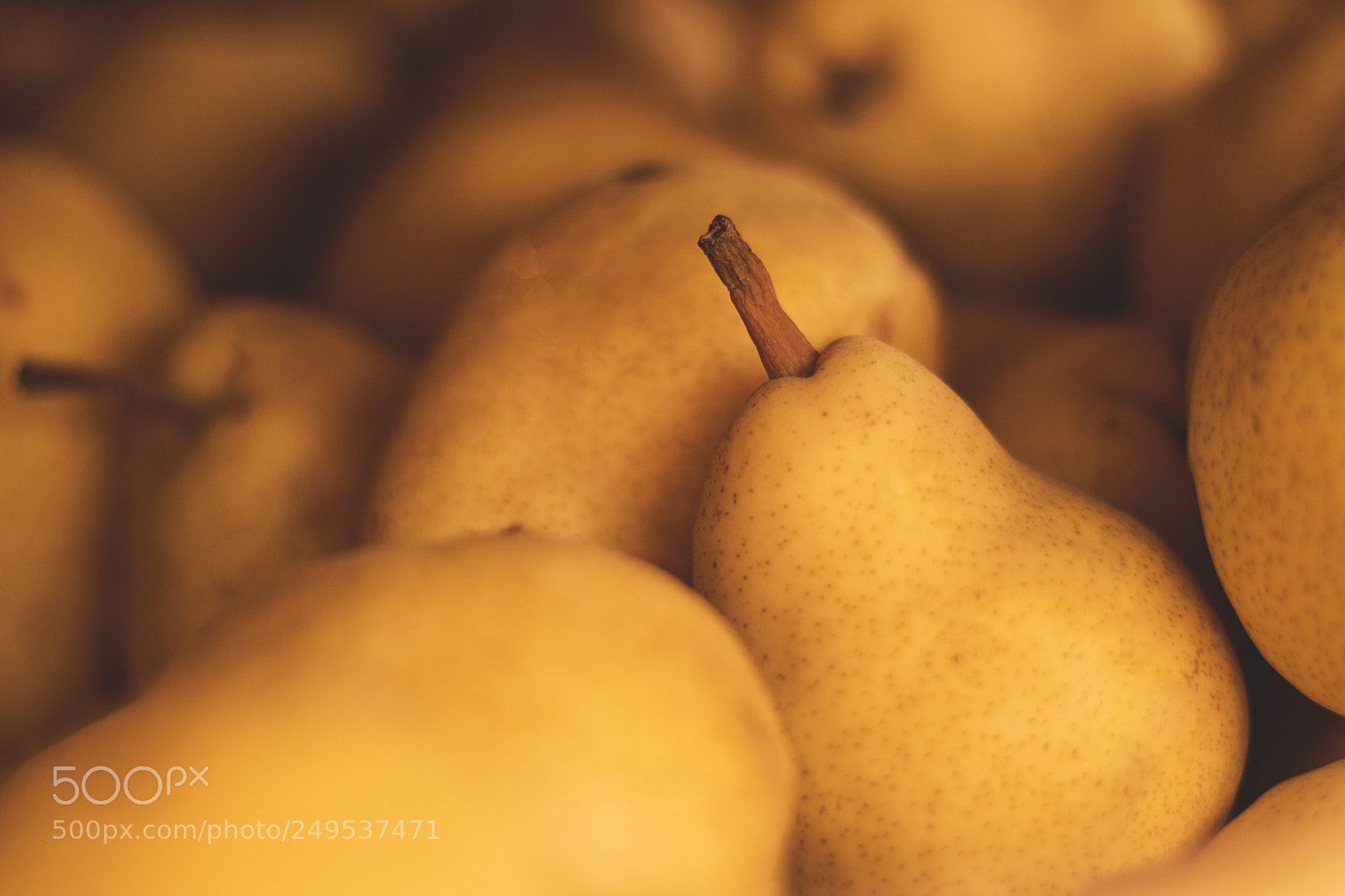 Canon EOS 750D (EOS Rebel T6i / EOS Kiss X8i) sample photo. Pears (peras) williams photography