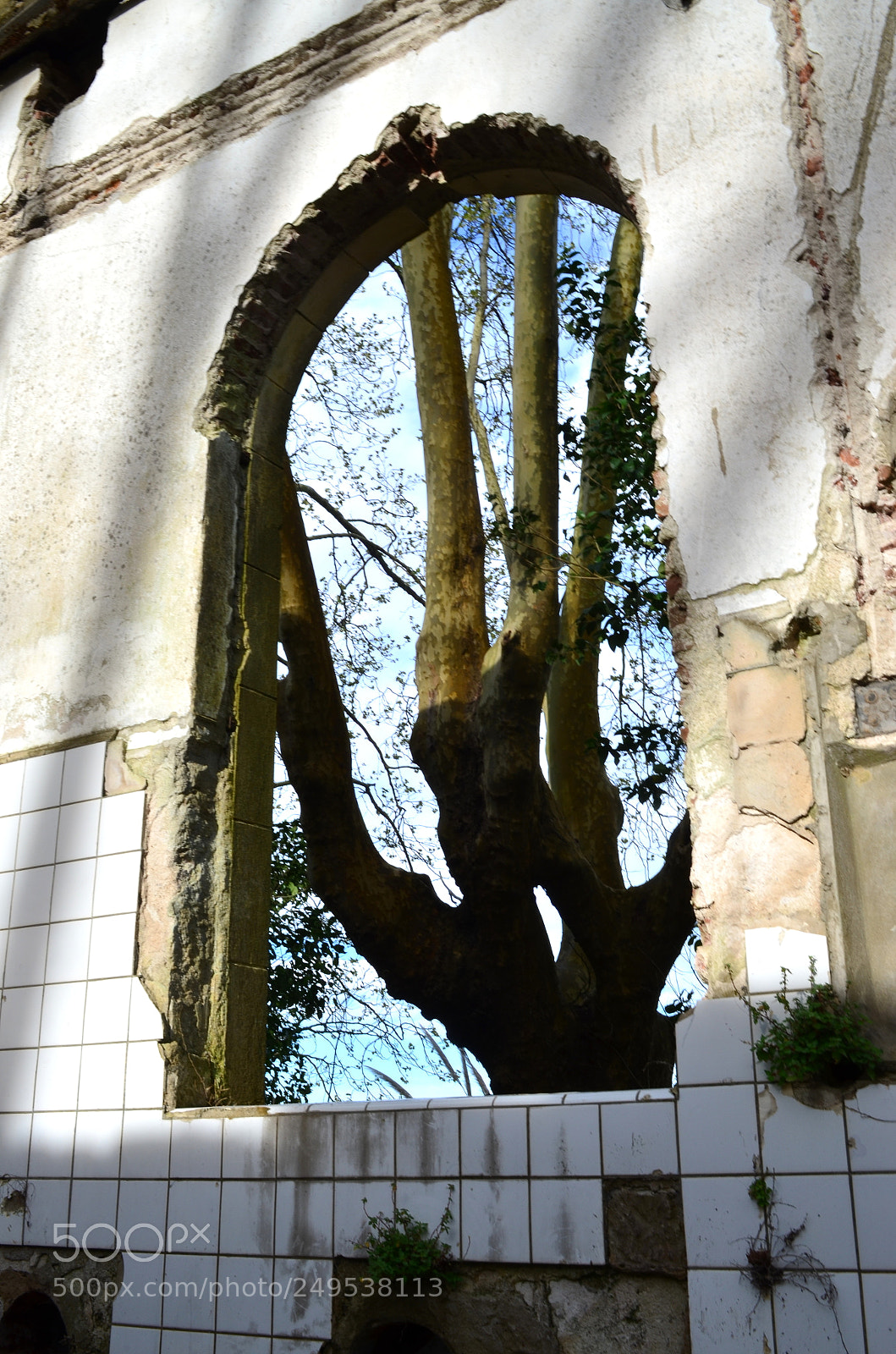 Nikon D5100 sample photo. Abandonado photography