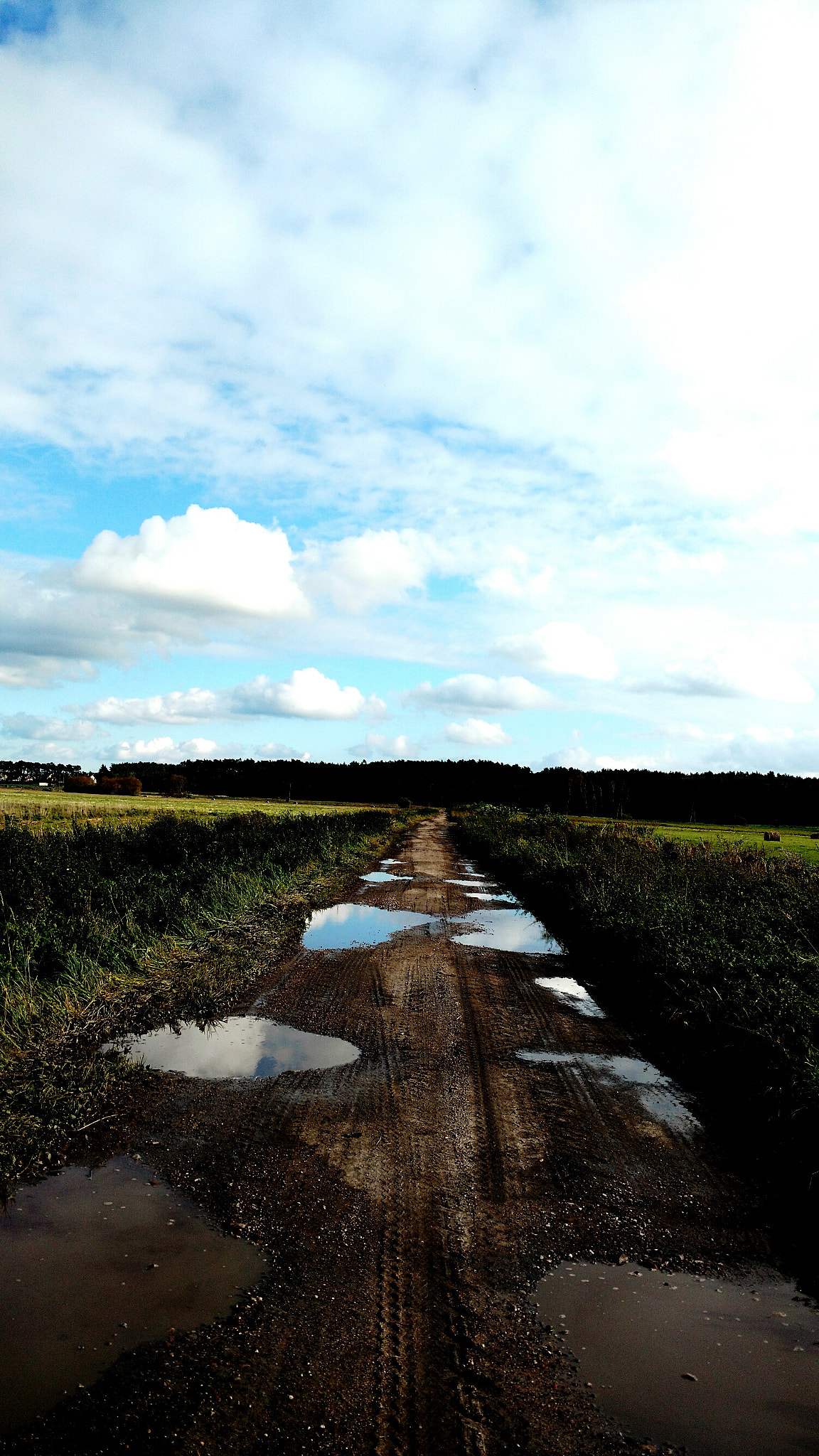 Motorola Moto X Play sample photo. Mr blue sky photography