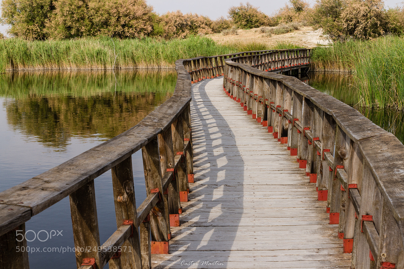 Canon EOS 7D sample photo. Primavera adelantada, tablas de photography