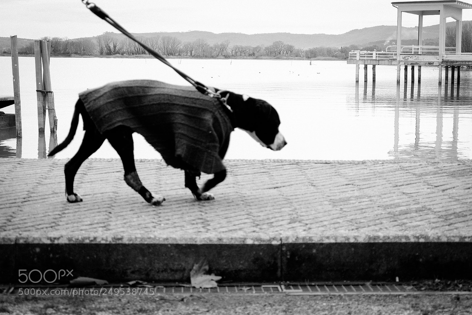 Fujifilm X-T10 sample photo. Sunday at lake photography