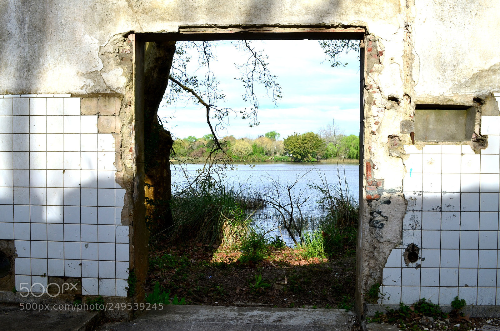 Nikon D5100 sample photo. Abandonado photography