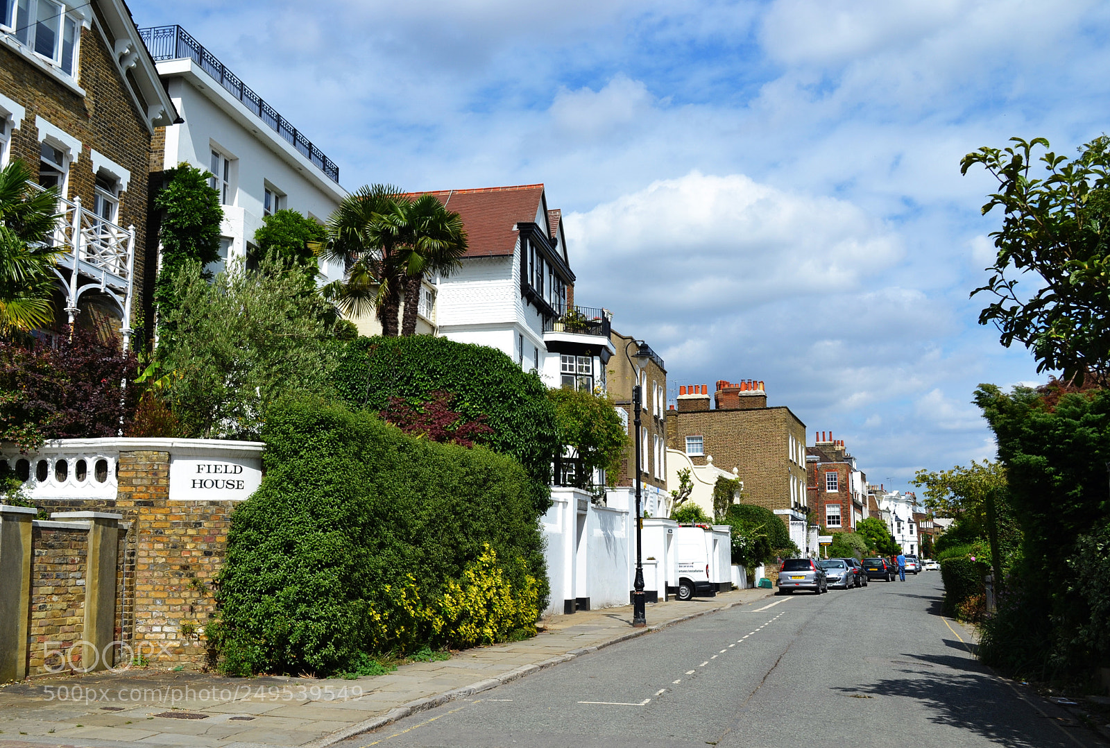 Nikon D3100 sample photo. English garden photography