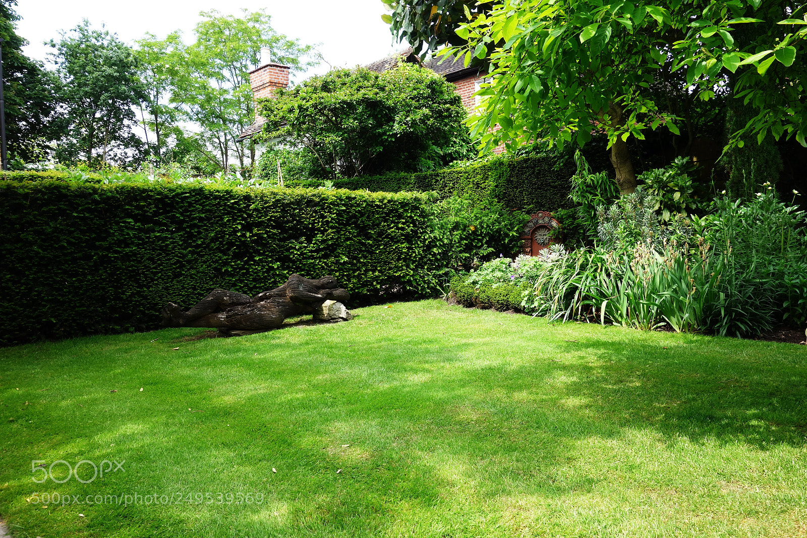 Sony Cyber-shot DSC-RX100 sample photo. English garden photography