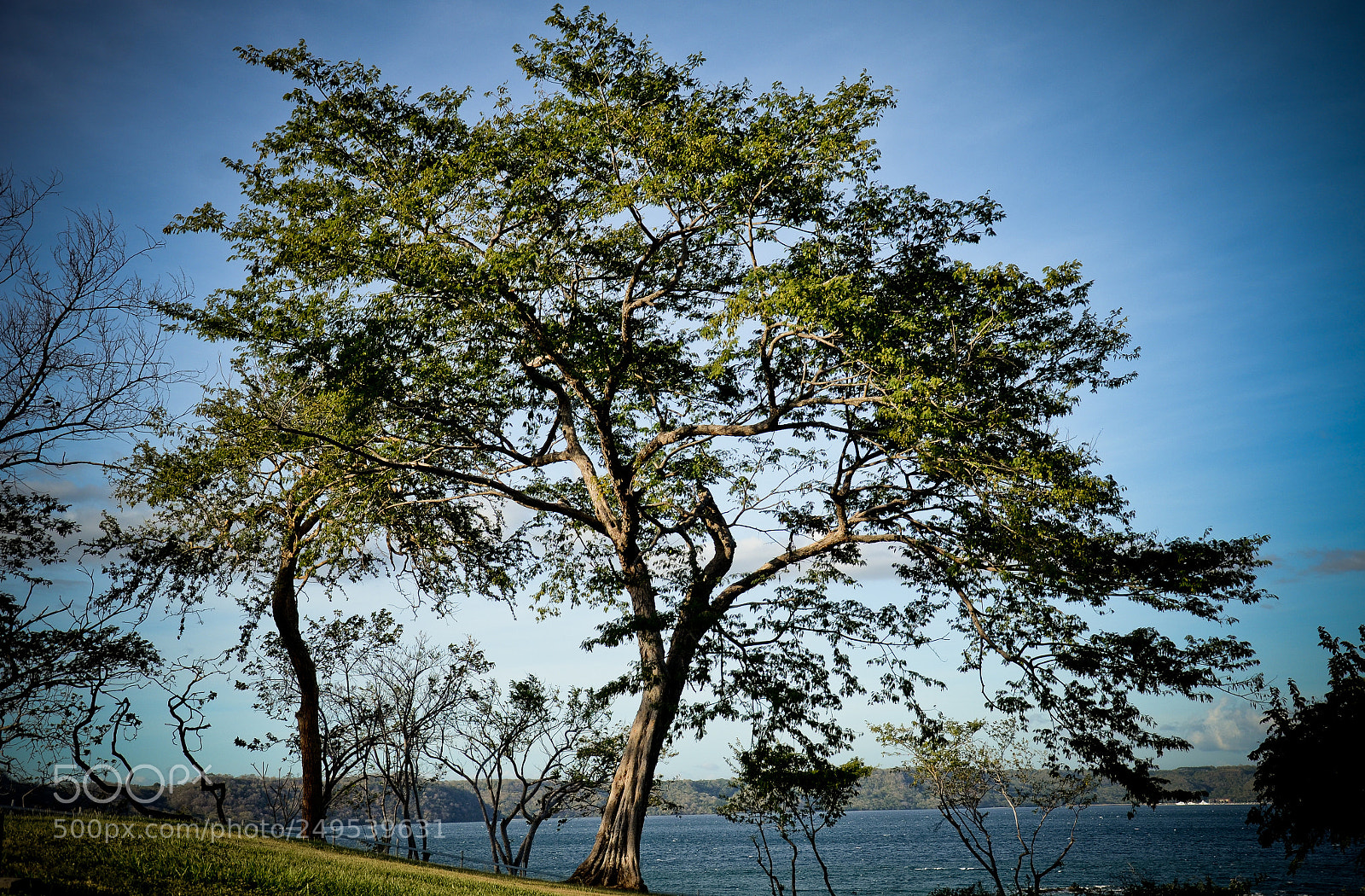 Nikon D7000 sample photo. Untitled photography