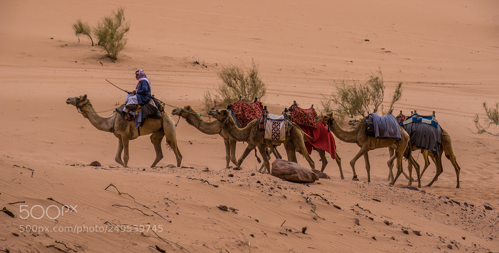 Sony a6000 sample photo. Caravan moves photography
