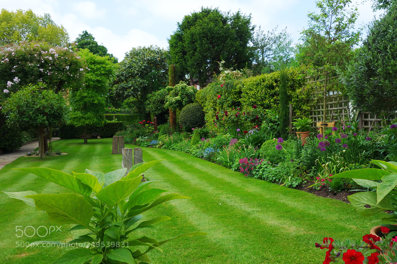 Sony Cyber-shot DSC-RX100 sample photo. English garden photography