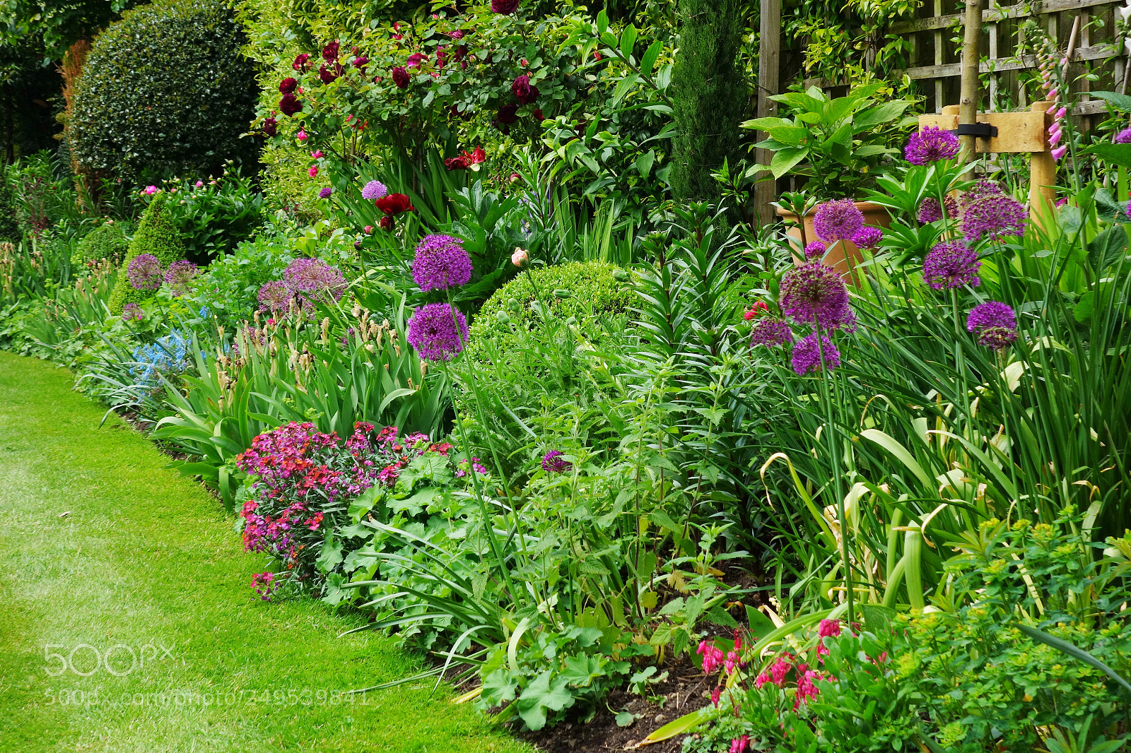 Sony Cyber-shot DSC-RX100 sample photo. English garden photography