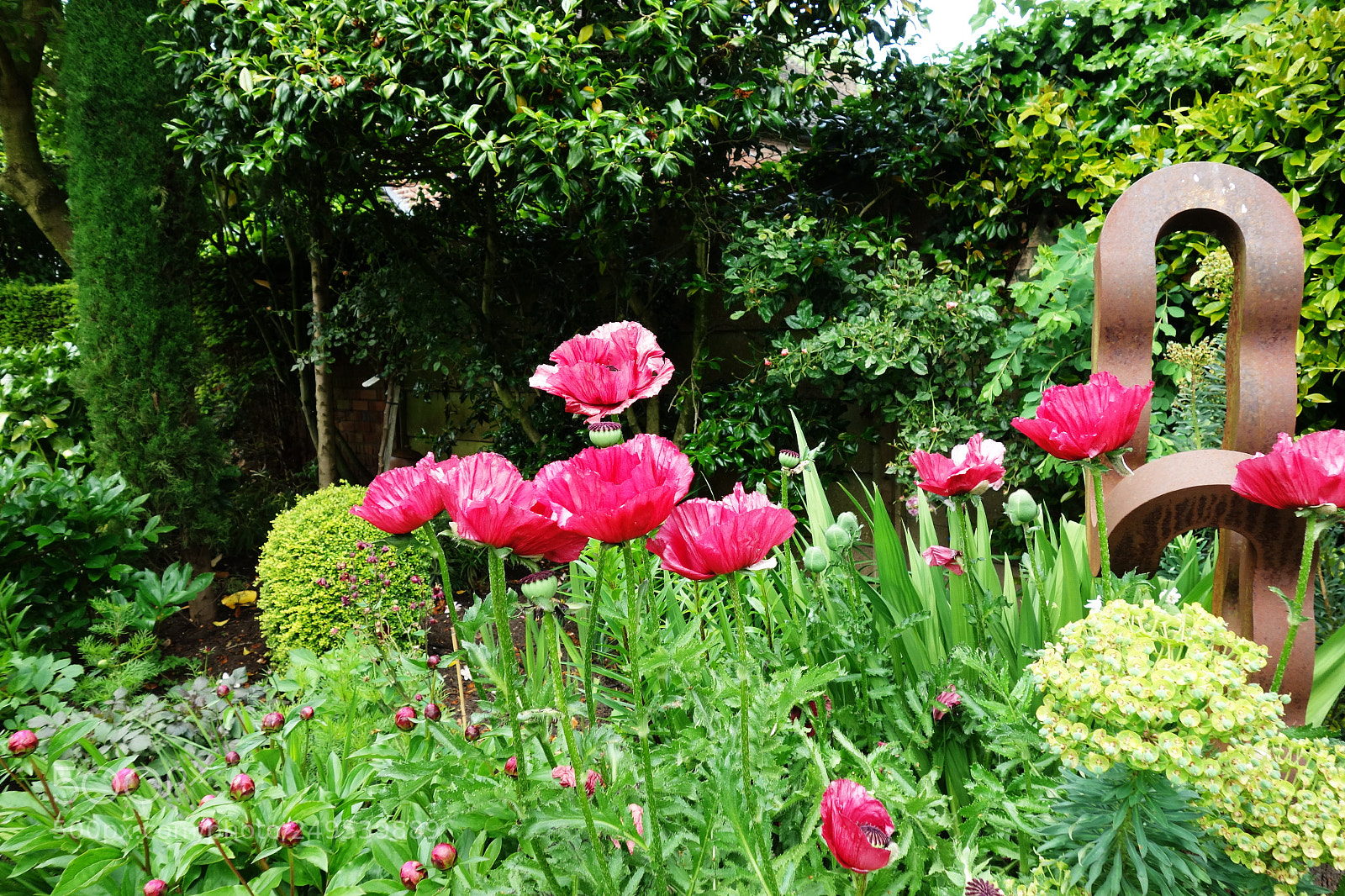Sony Cyber-shot DSC-RX100 sample photo. English garden photography
