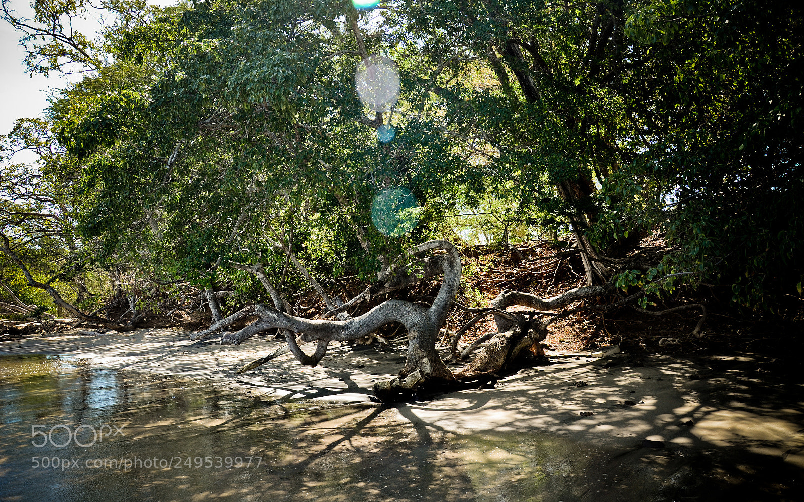 Nikon D7000 sample photo. Untitled photography