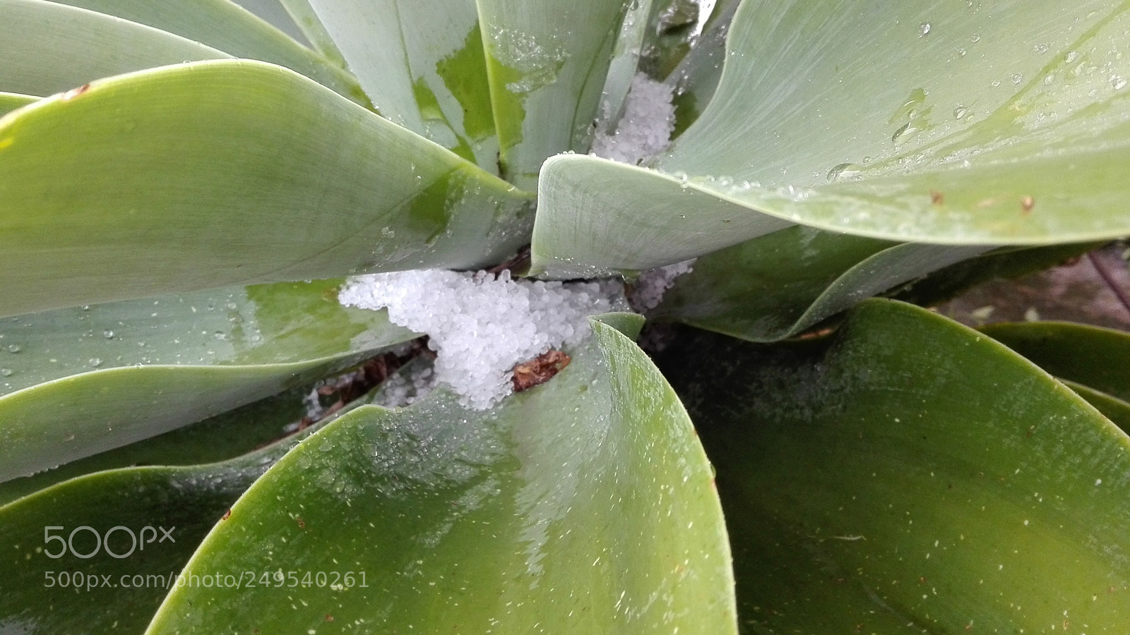HUAWEI P8 Lite sample photo. Granizo photography