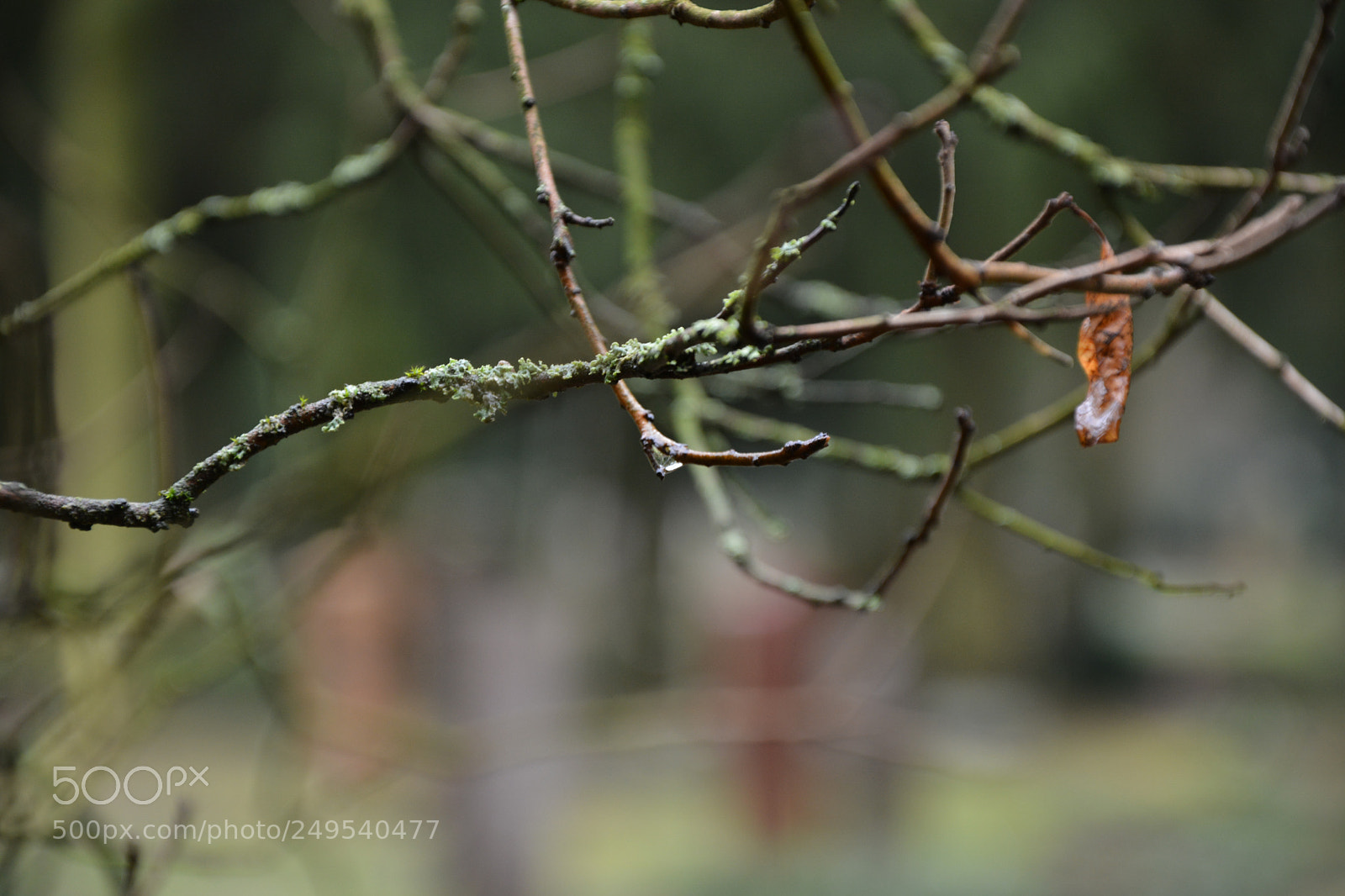 Nikon D7100 sample photo. Untitled photography