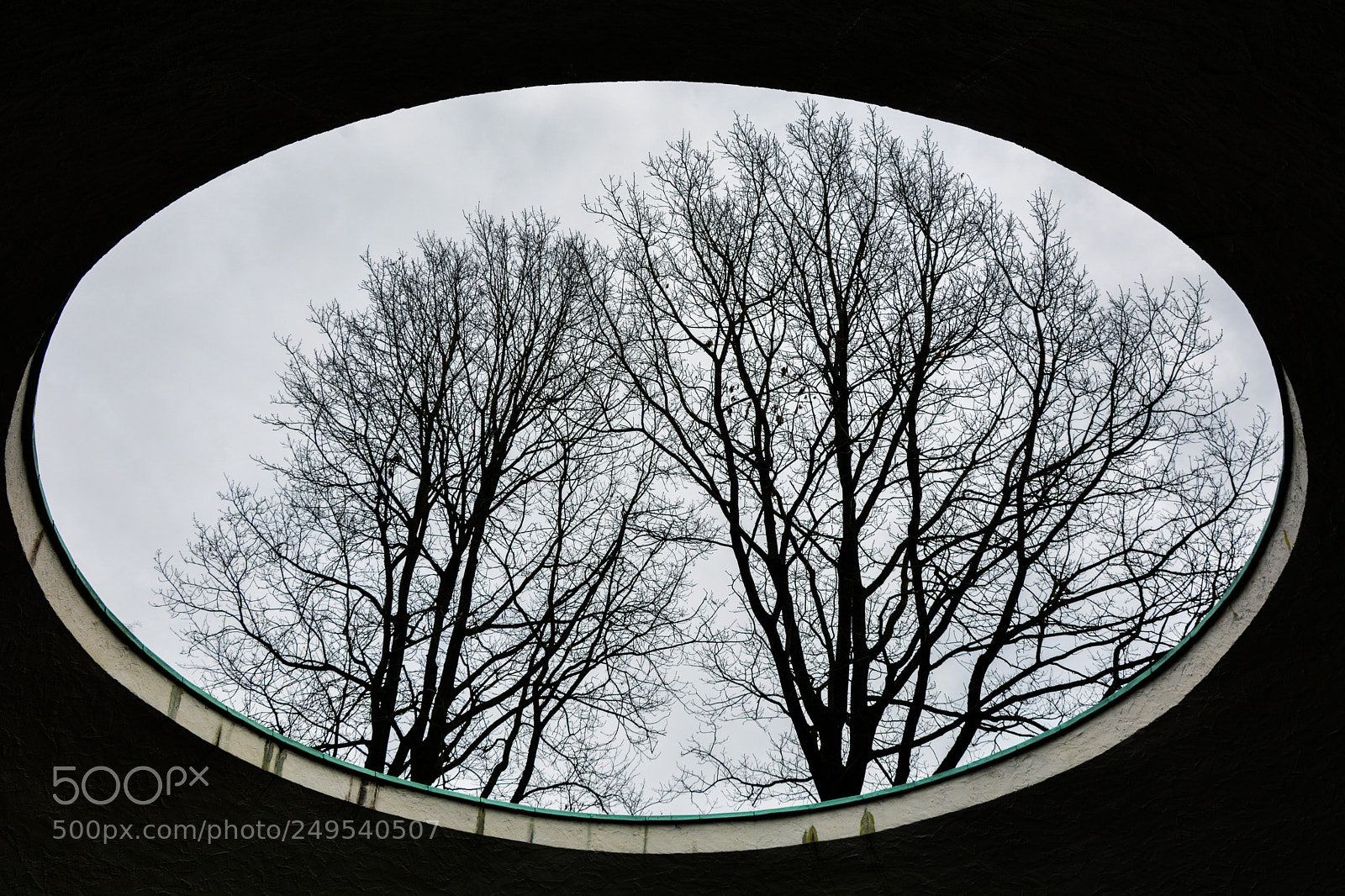 Nikon D7100 sample photo. Untitled photography