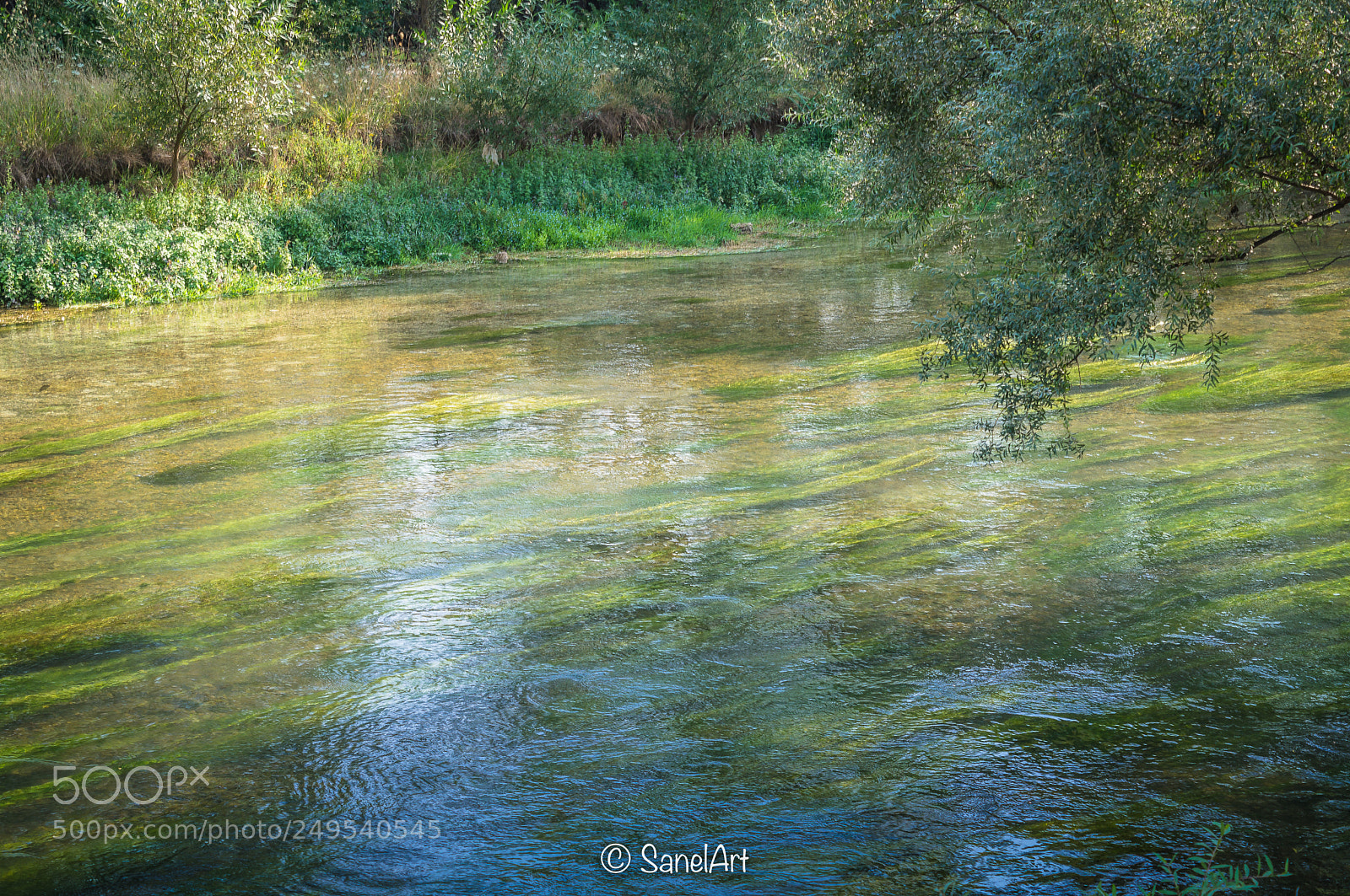 Sony SLT-A35 sample photo. River buna in kosor photography