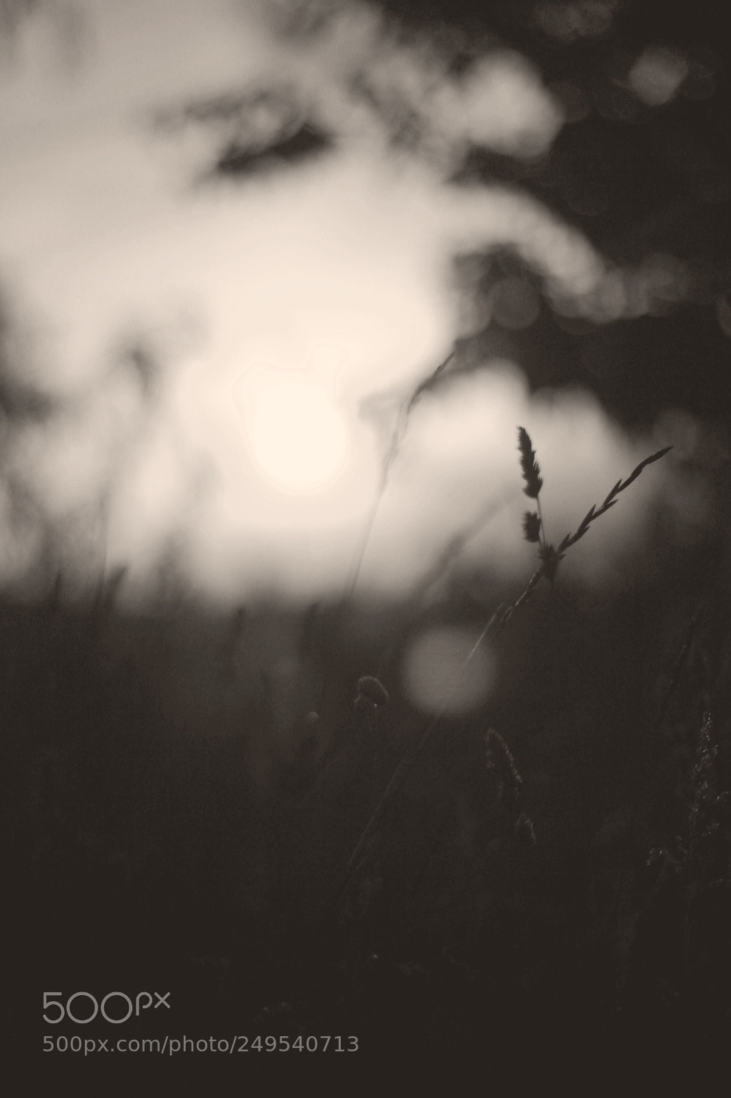 Canon EOS 60D sample photo. Editimg photography