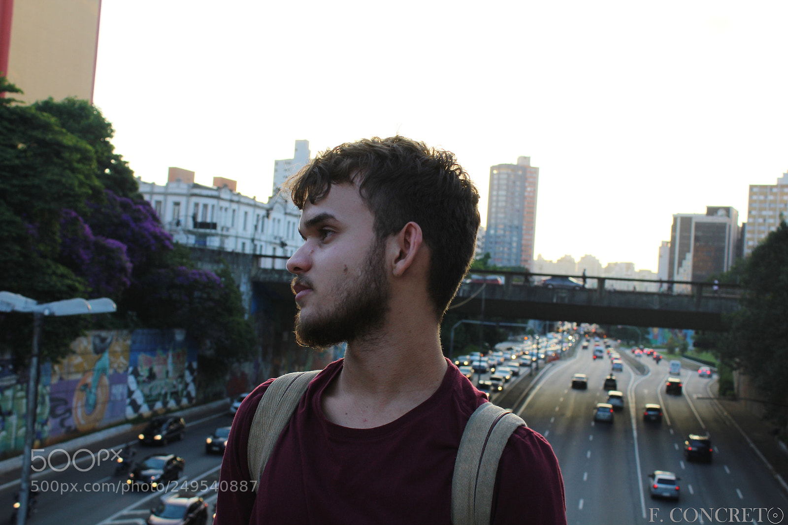 Canon EOS 1200D (EOS Rebel T5 / EOS Kiss X70 / EOS Hi) sample photo. Liberdade - s o photography