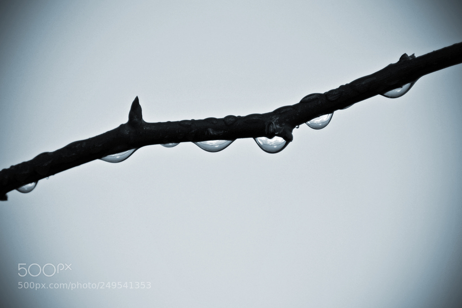 Nikon D3100 sample photo. Droplets photography