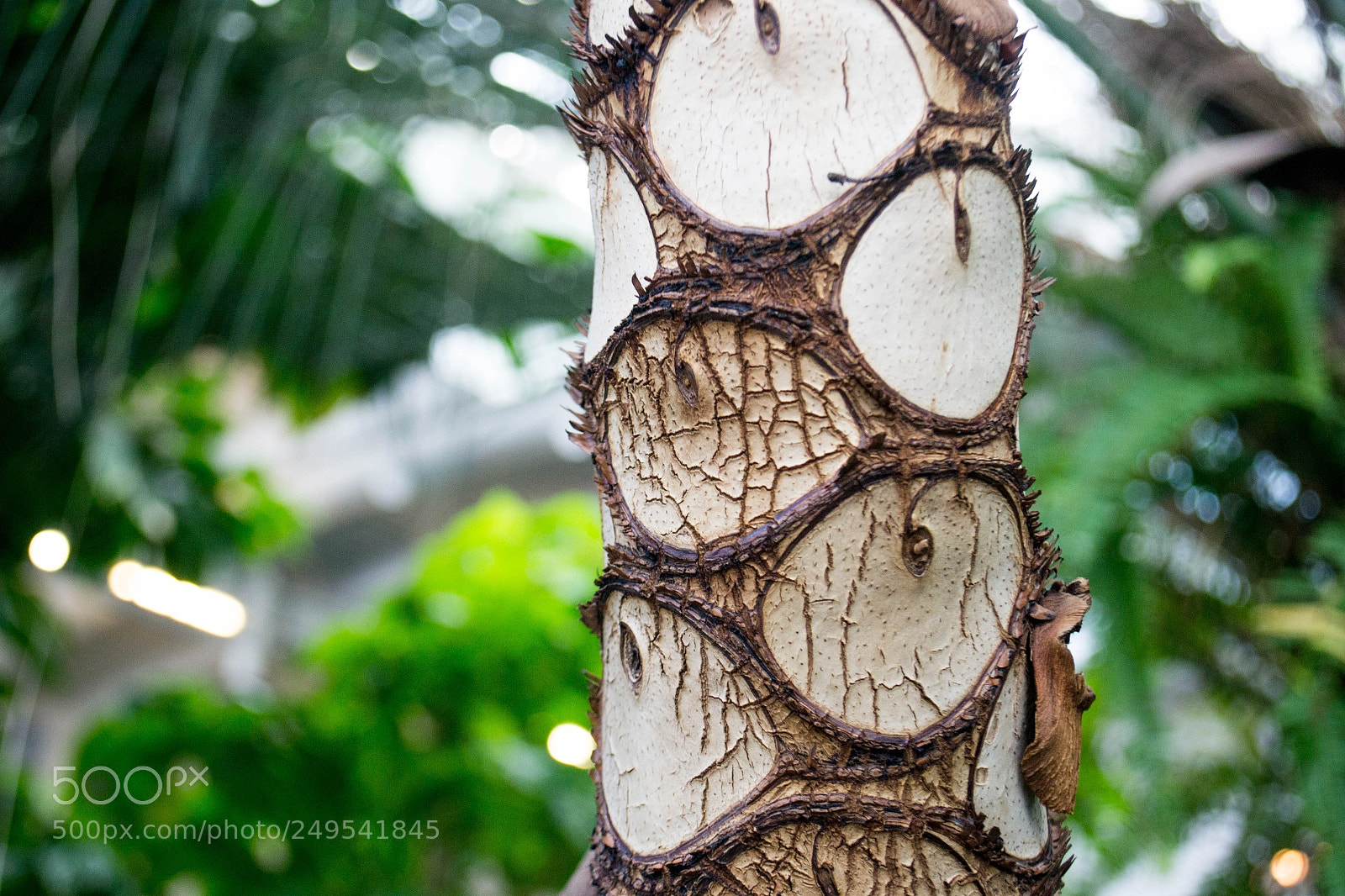 Nikon D3100 sample photo. Untitled photography