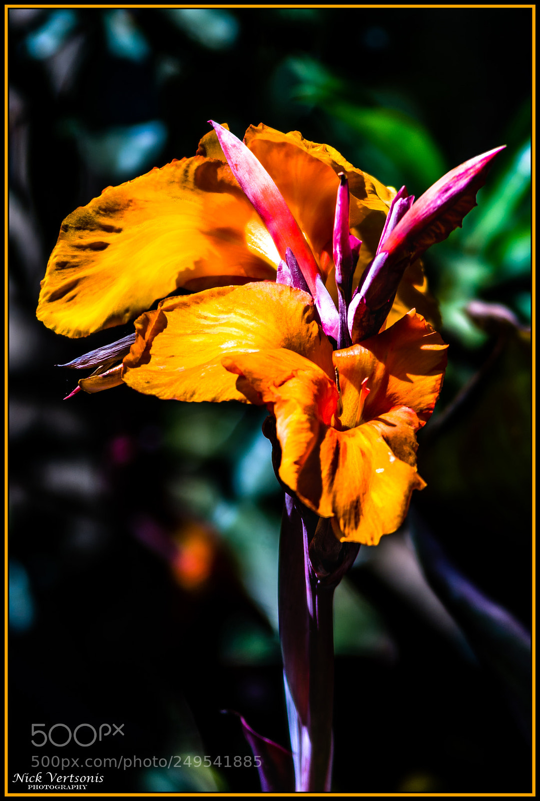 Nikon D7200 sample photo. Summer... photography