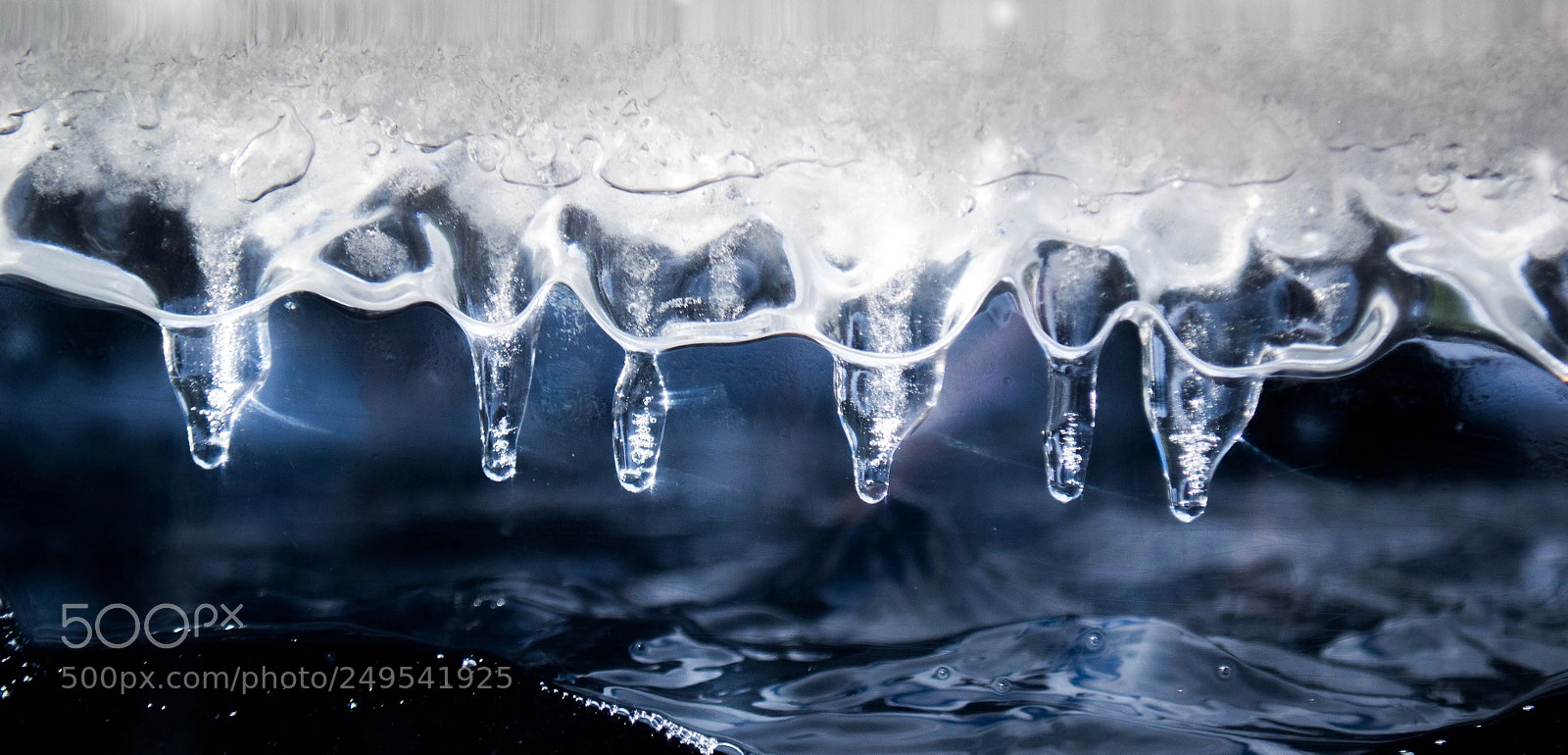 Nikon D3100 sample photo. Untitled photography