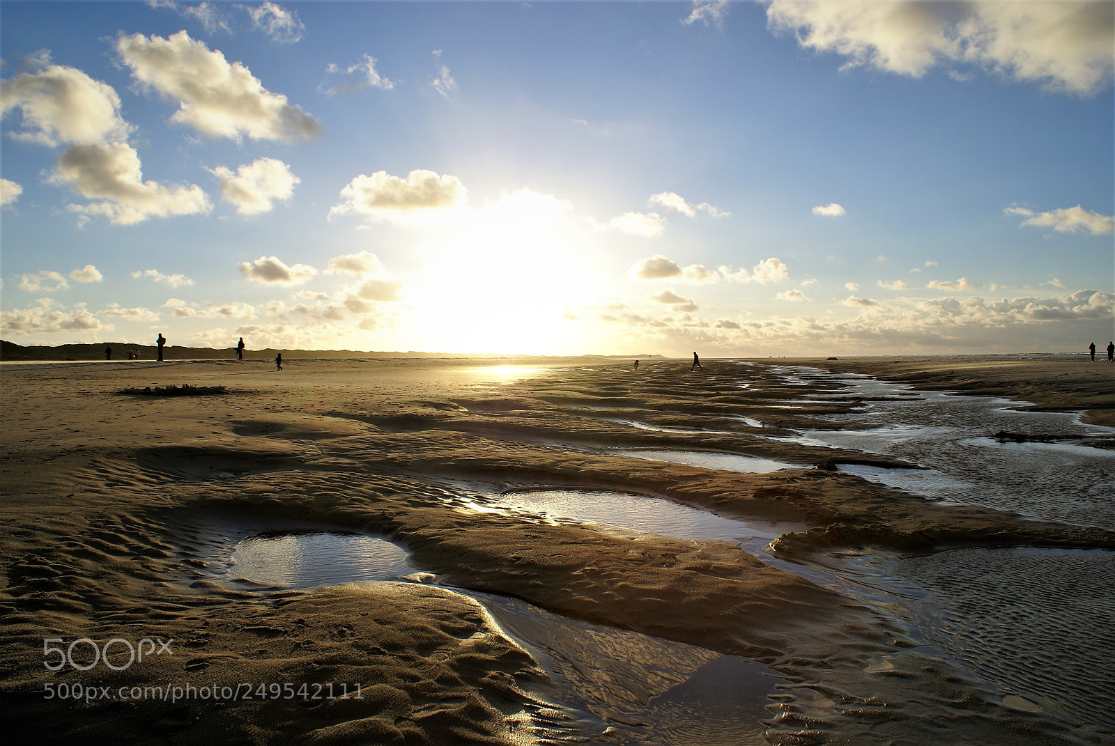 Sony Alpha DSLR-A100 sample photo. Terschelling beach photography