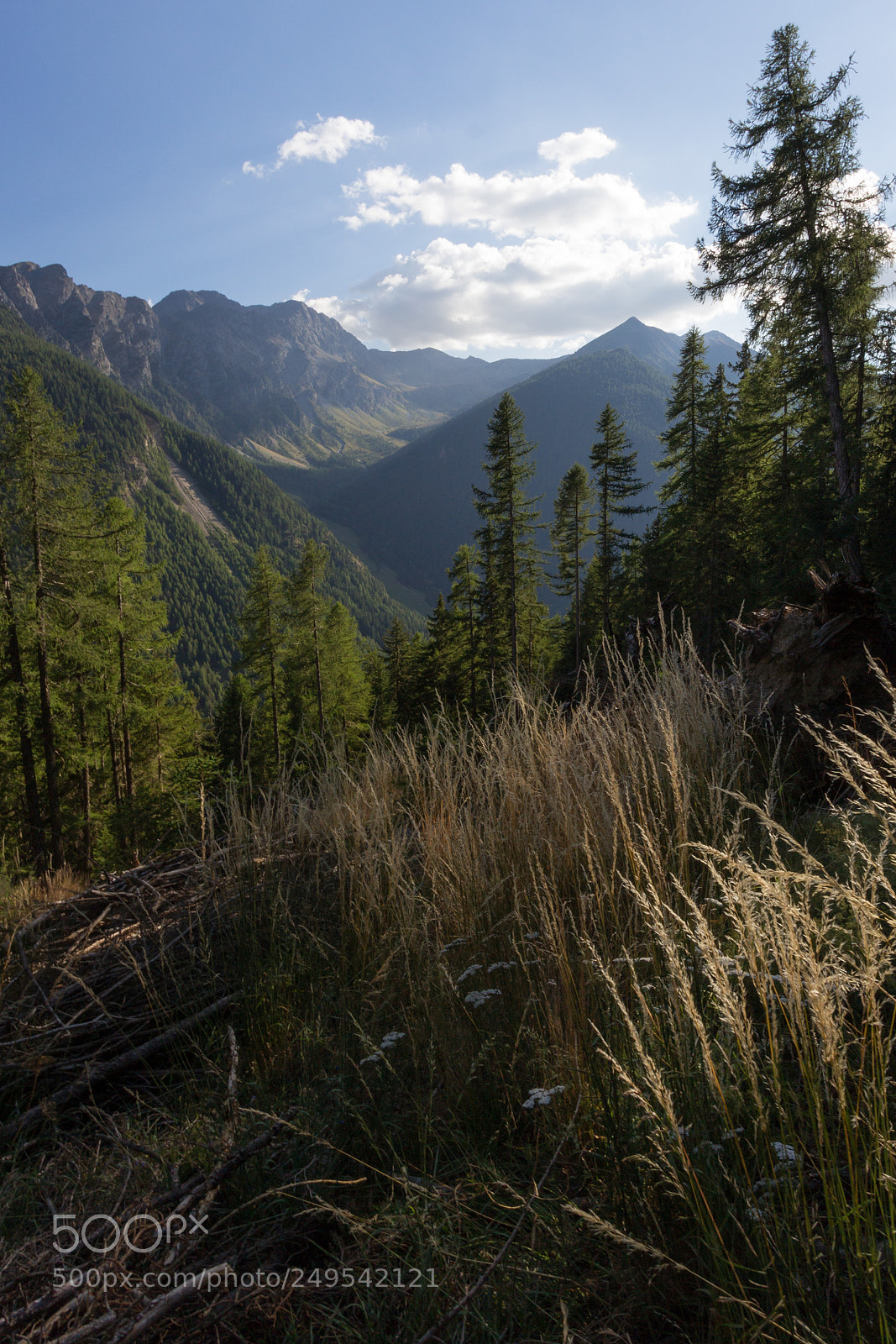 Canon EOS 600D (Rebel EOS T3i / EOS Kiss X5) sample photo. Path to aosta photography