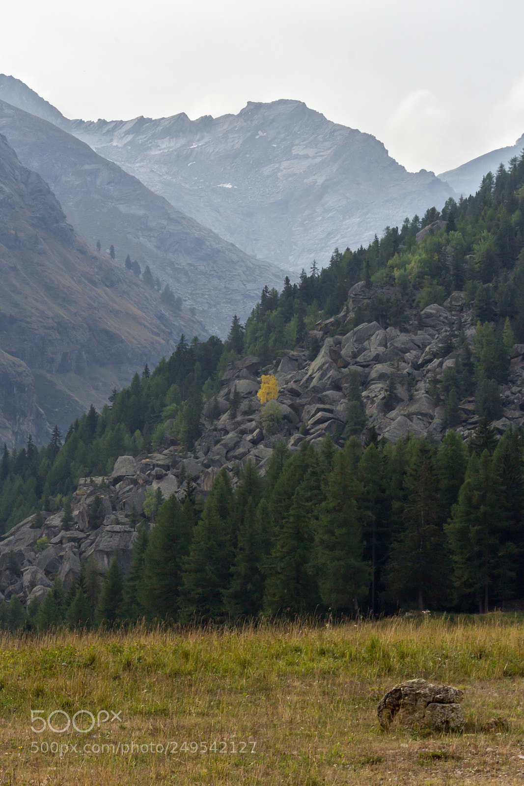 Canon EOS 600D (Rebel EOS T3i / EOS Kiss X5) sample photo. Early fall in gran photography