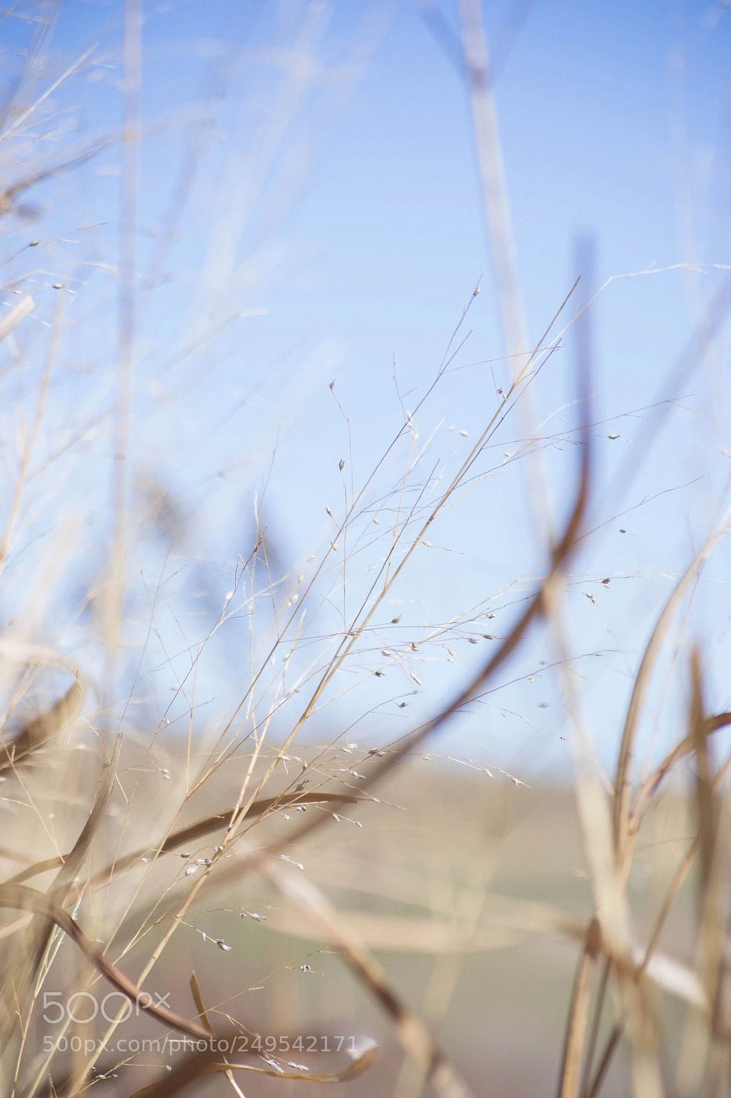 Nikon D3100 sample photo. Untitled photography