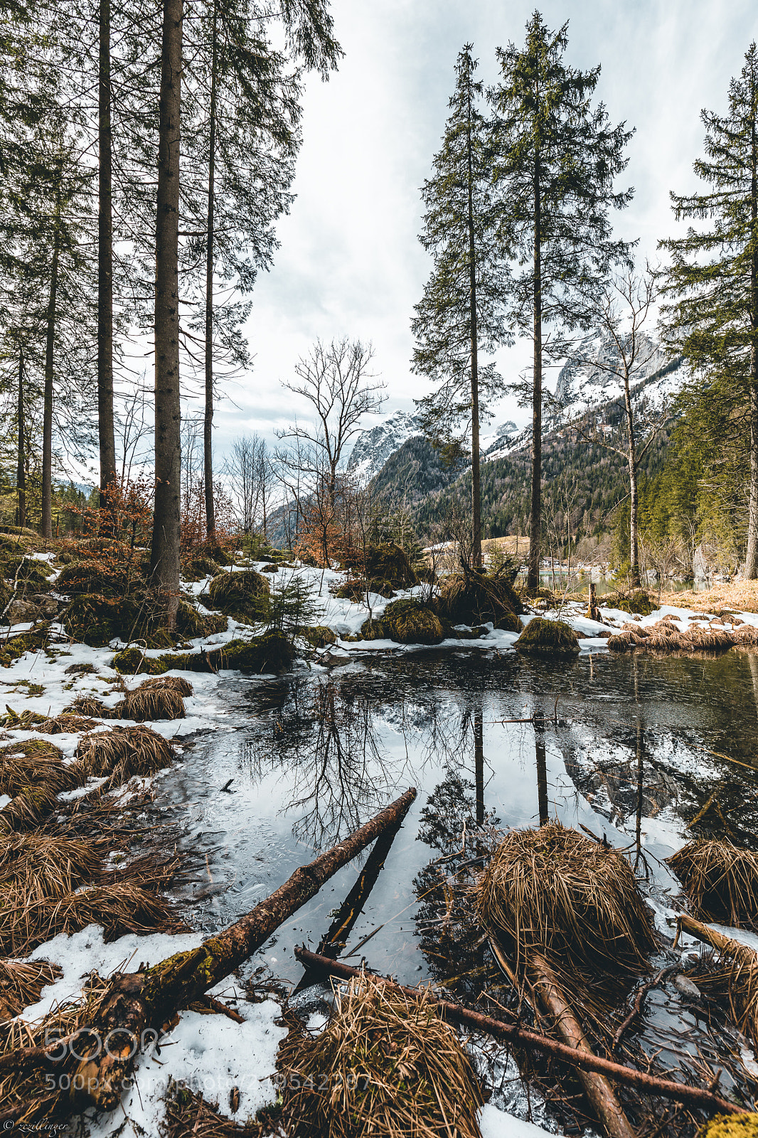 Canon EOS 5D Mark IV sample photo. Hintersee photography