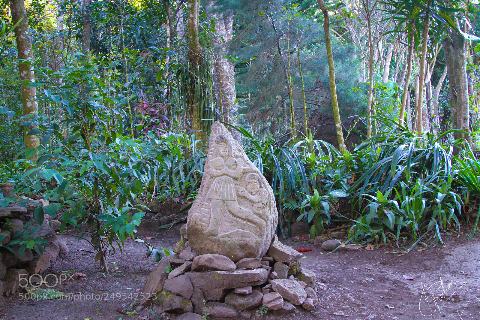 Canon EOS 7D sample photo. 16.jpg photography