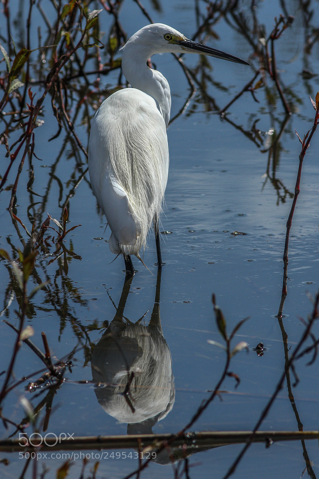 Canon EOS 700D (EOS Rebel T5i / EOS Kiss X7i) sample photo. Lake patrol 3 photography